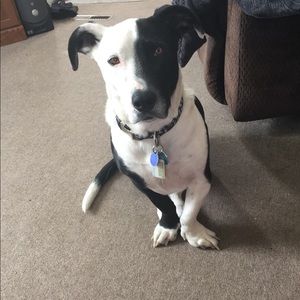 Meet your Posher, Madie